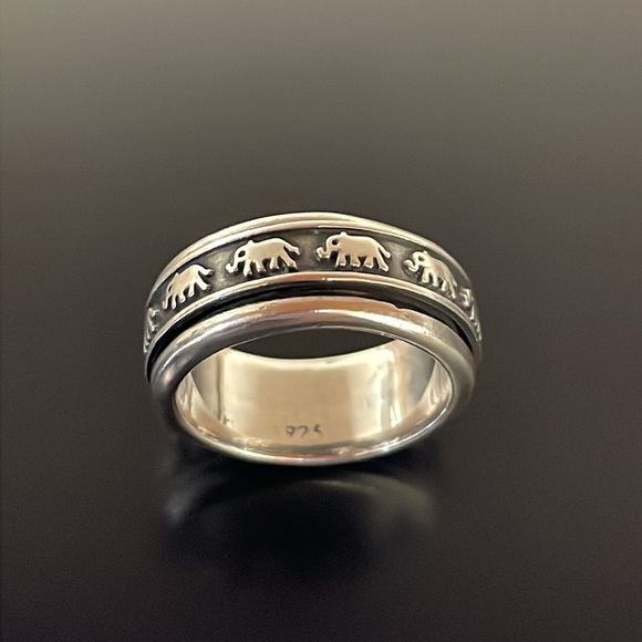 TT 6mm Brushed Stainless Steel Spin Ring Size 6-15 (R350S) NEW Arrival - Foto 3